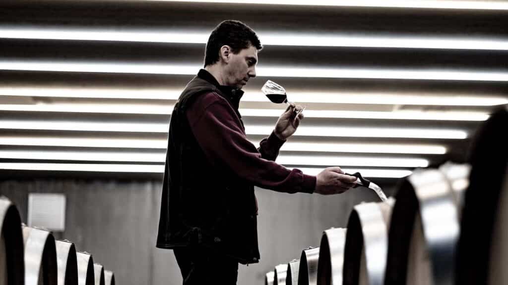 Dégustation de vin du Beaujolais dans le chai de Vinescence