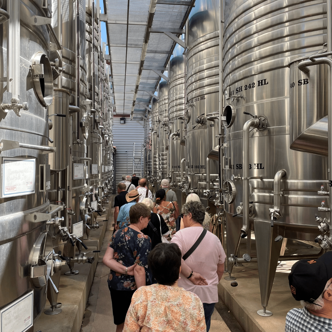 Groupe visite cuvage extérieur